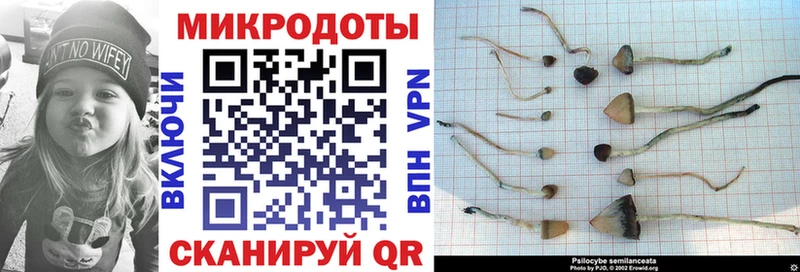 KRAKEN сайт  Краснообск  Псилоцибиновые грибы Magic Shrooms 